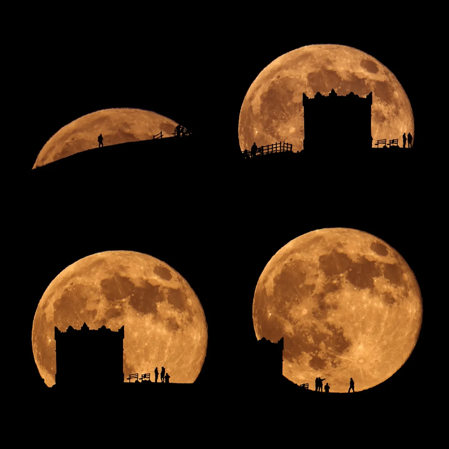 Everything you've ever wanted to know about the Moon | Royal